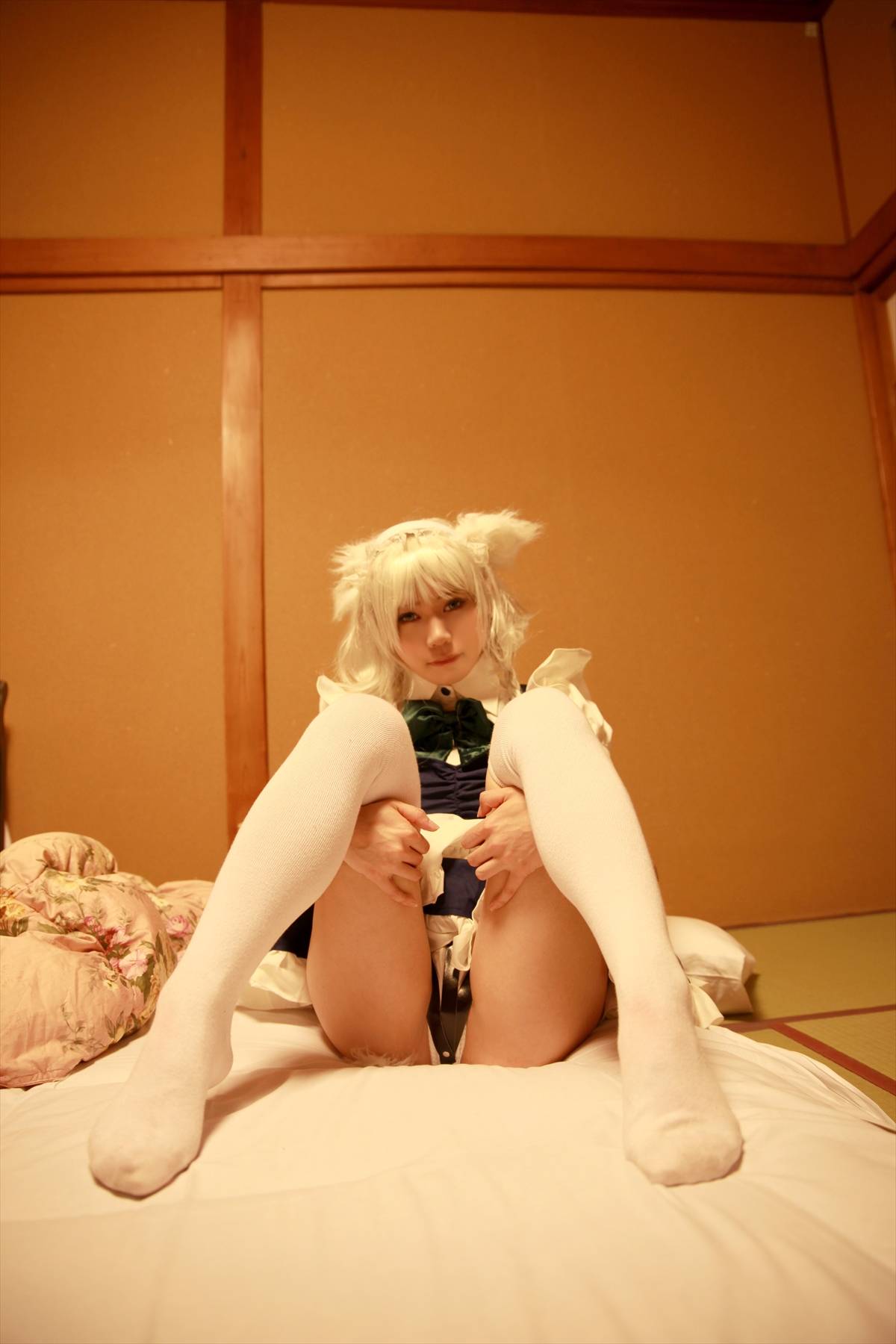 [CANIAC màu cam] Inu Sakuya ngoan ngoãn