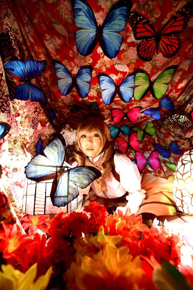 [Honey Bunny] Magical Girl Mami?