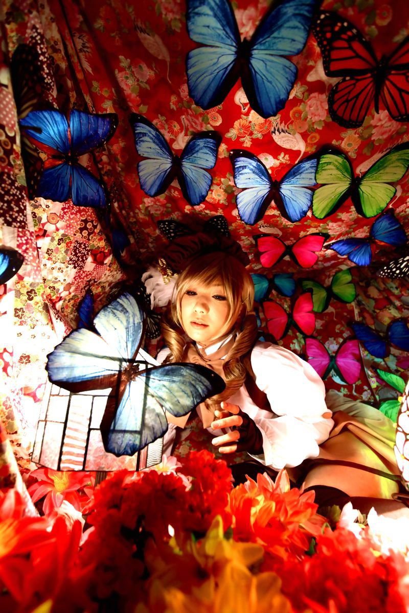 [Honey Bunny] Magical Girl Mami?