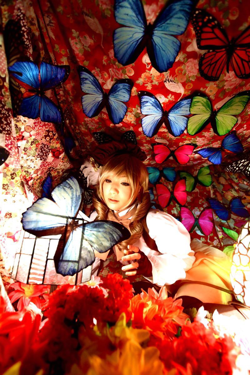 [Honey Bunny] Magical Girl Mami?