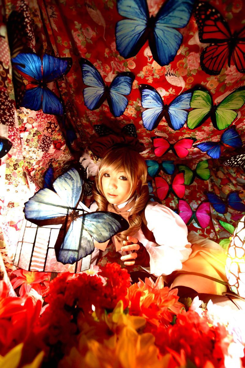 [Honey Bunny] Magical Girl Mami?