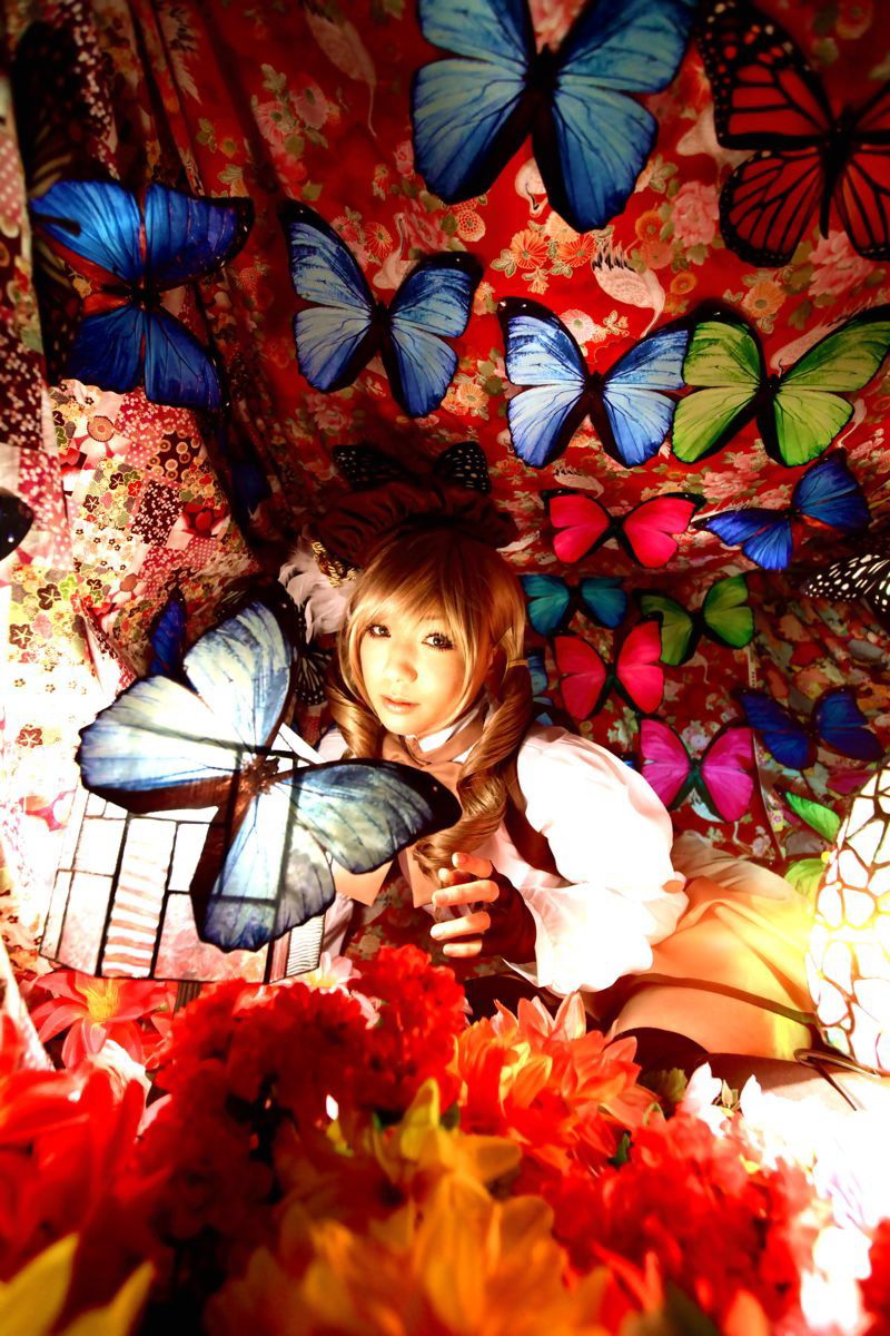 [Honey Bunny] Magical Girl Mami?