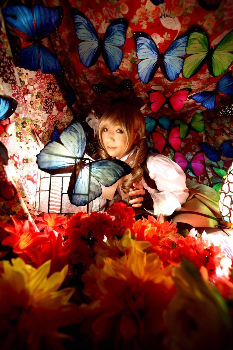 [Honey Bunny] Magical Girl Mami?