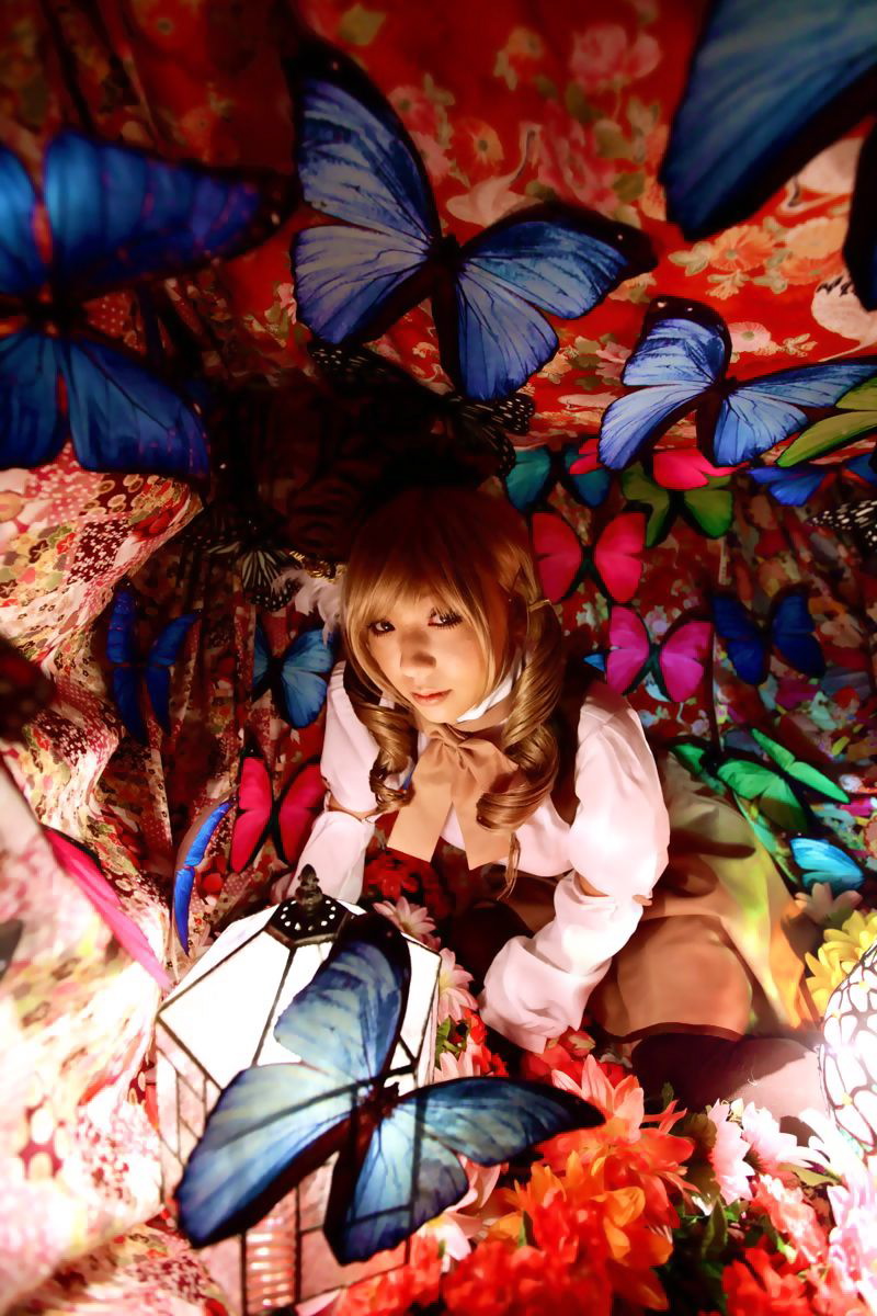 [Honey Bunny] Magical Girl Mami?