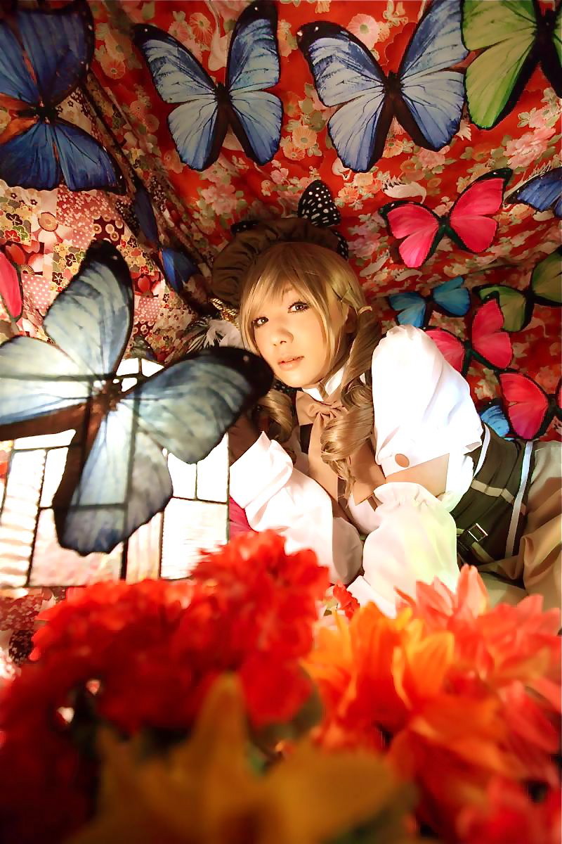 [Honey Bunny] Magical Girl Mami?