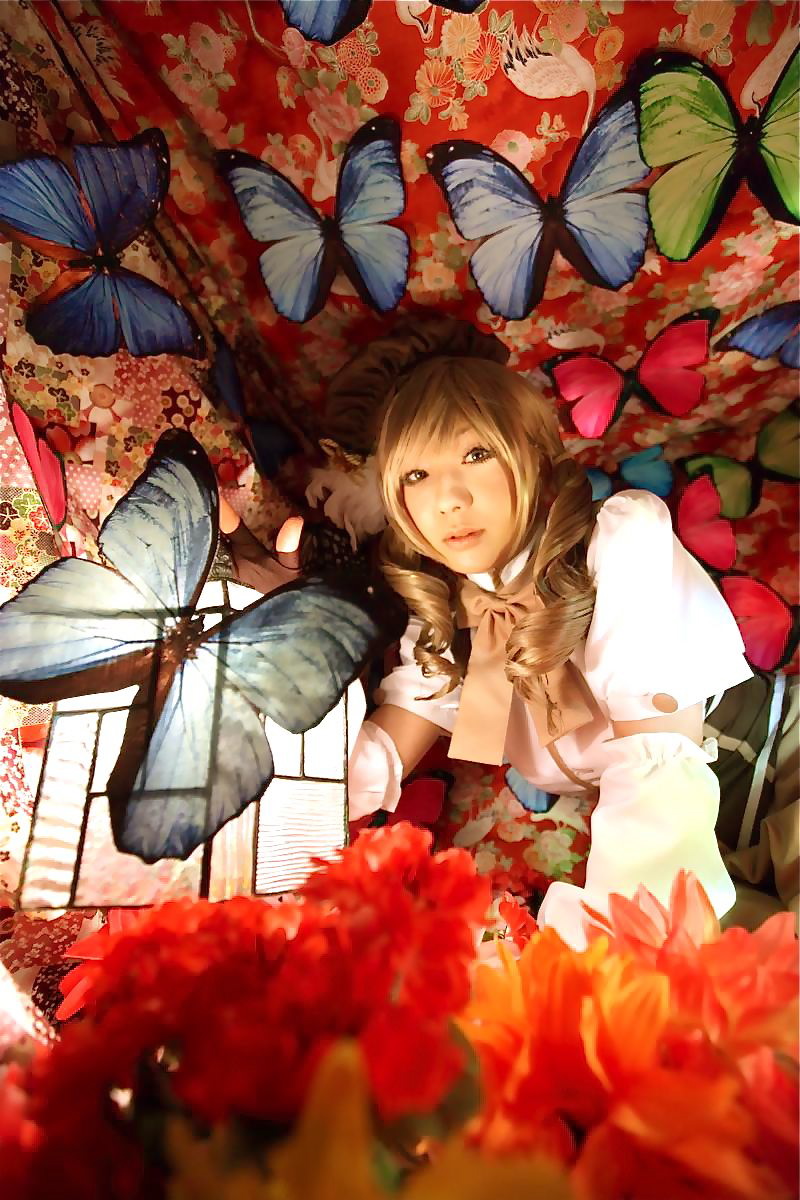 [Honey Bunny] Magical Girl Mami?