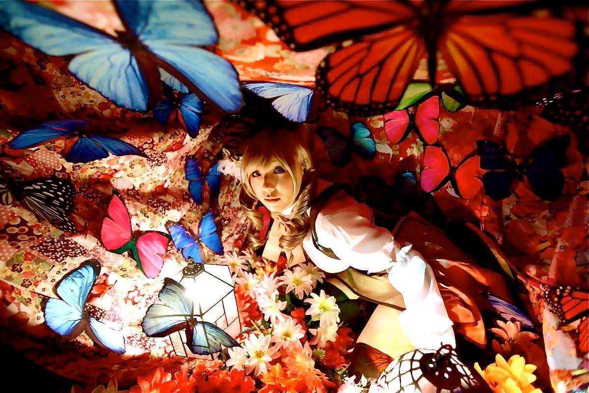 [Honey Bunny] Magical Girl Mami?