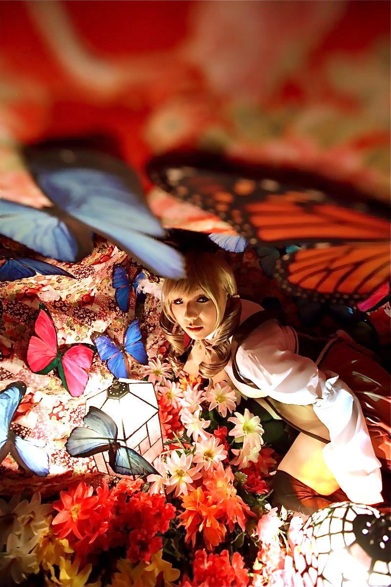 [Honey Bunny] Magical Girl Mami?