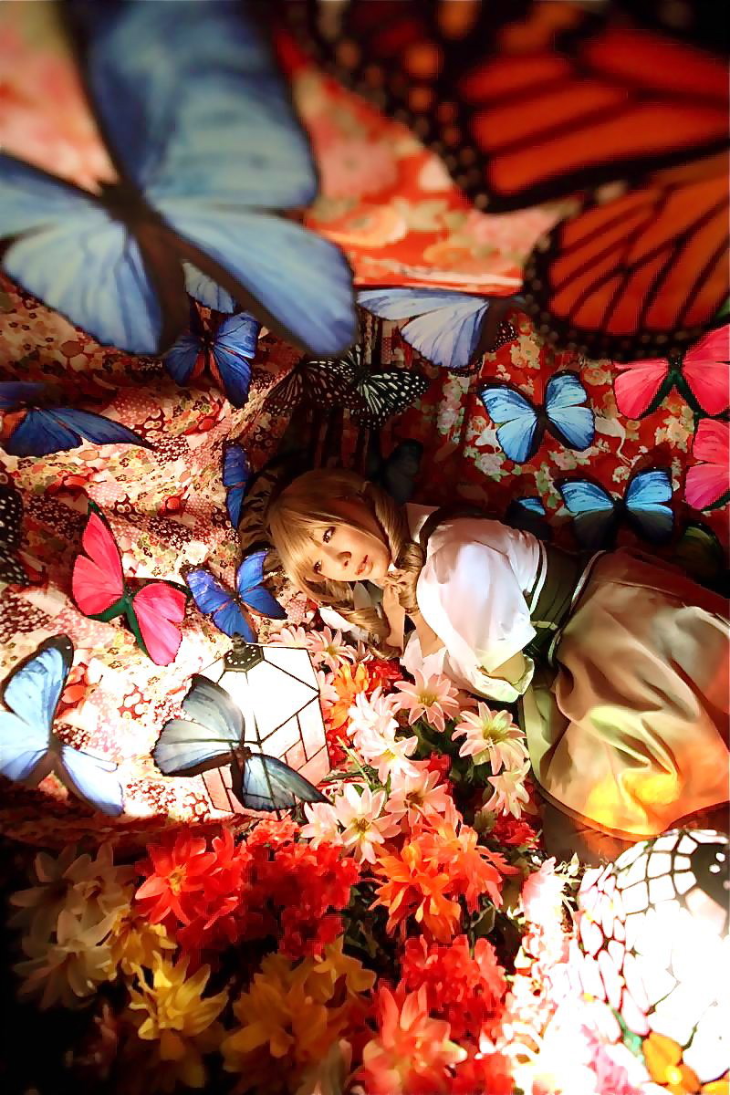 [Honey Bunny] Magical Girl Mami?