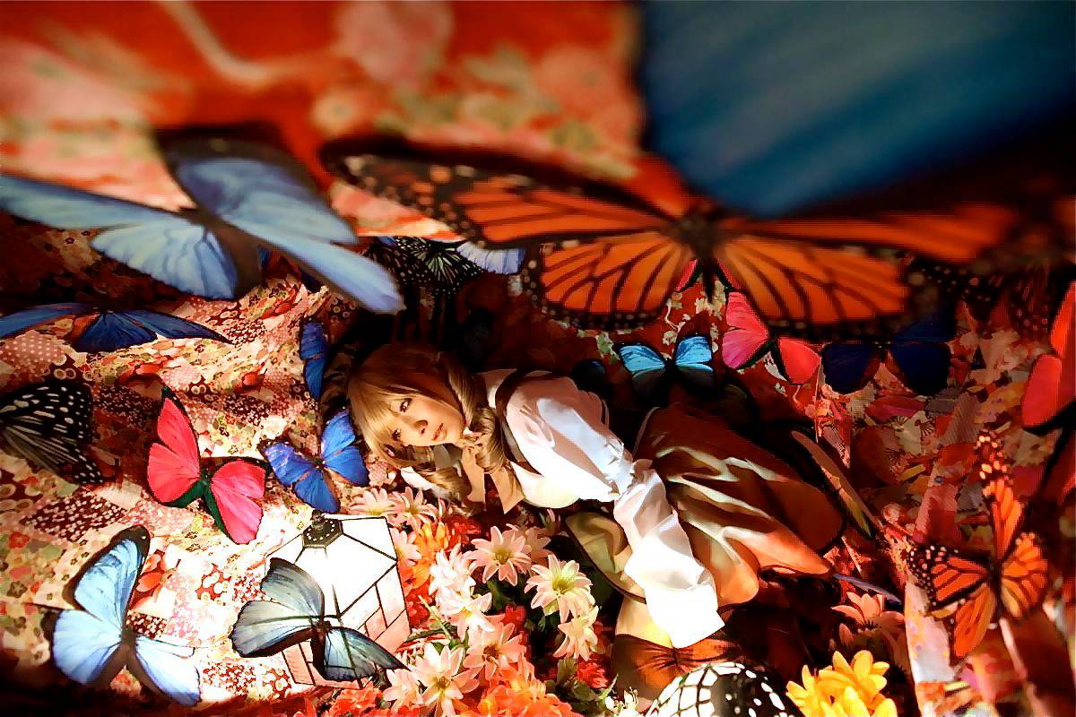 [Honey Bunny] Magical Girl Mami?