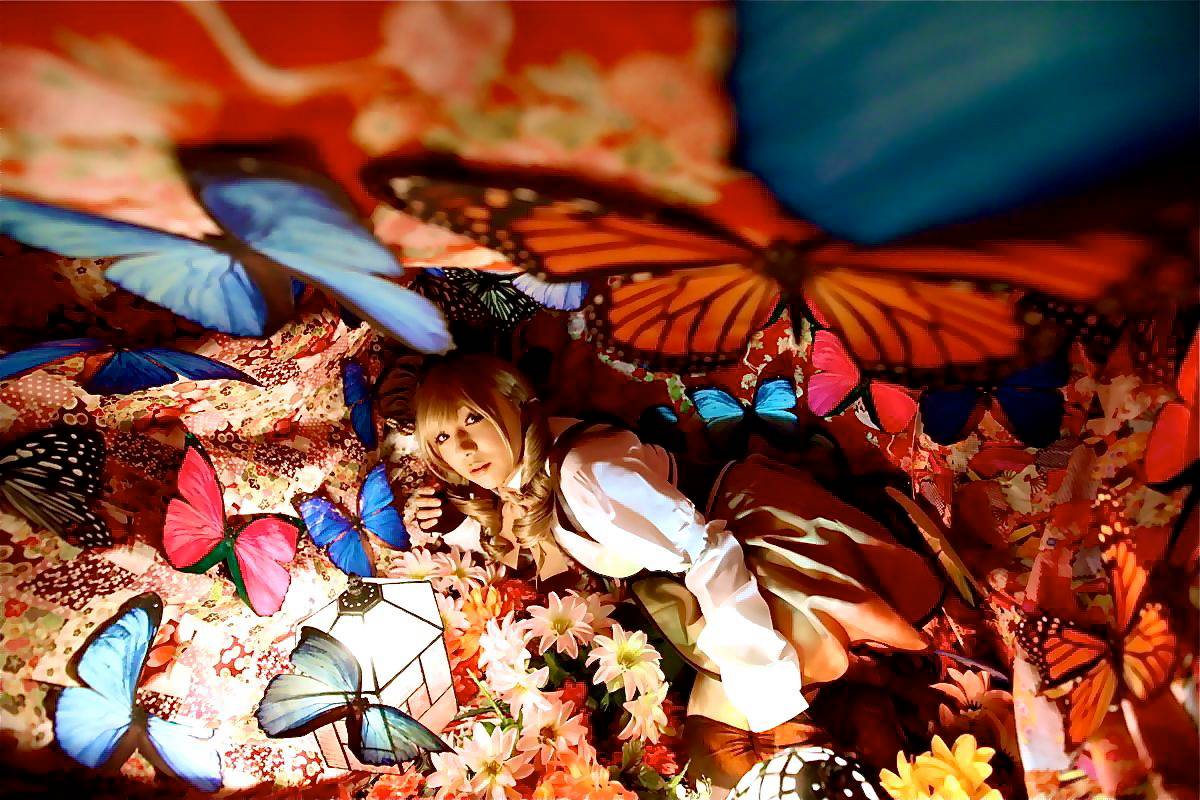 [Honey Bunny] Magical Girl Mami?