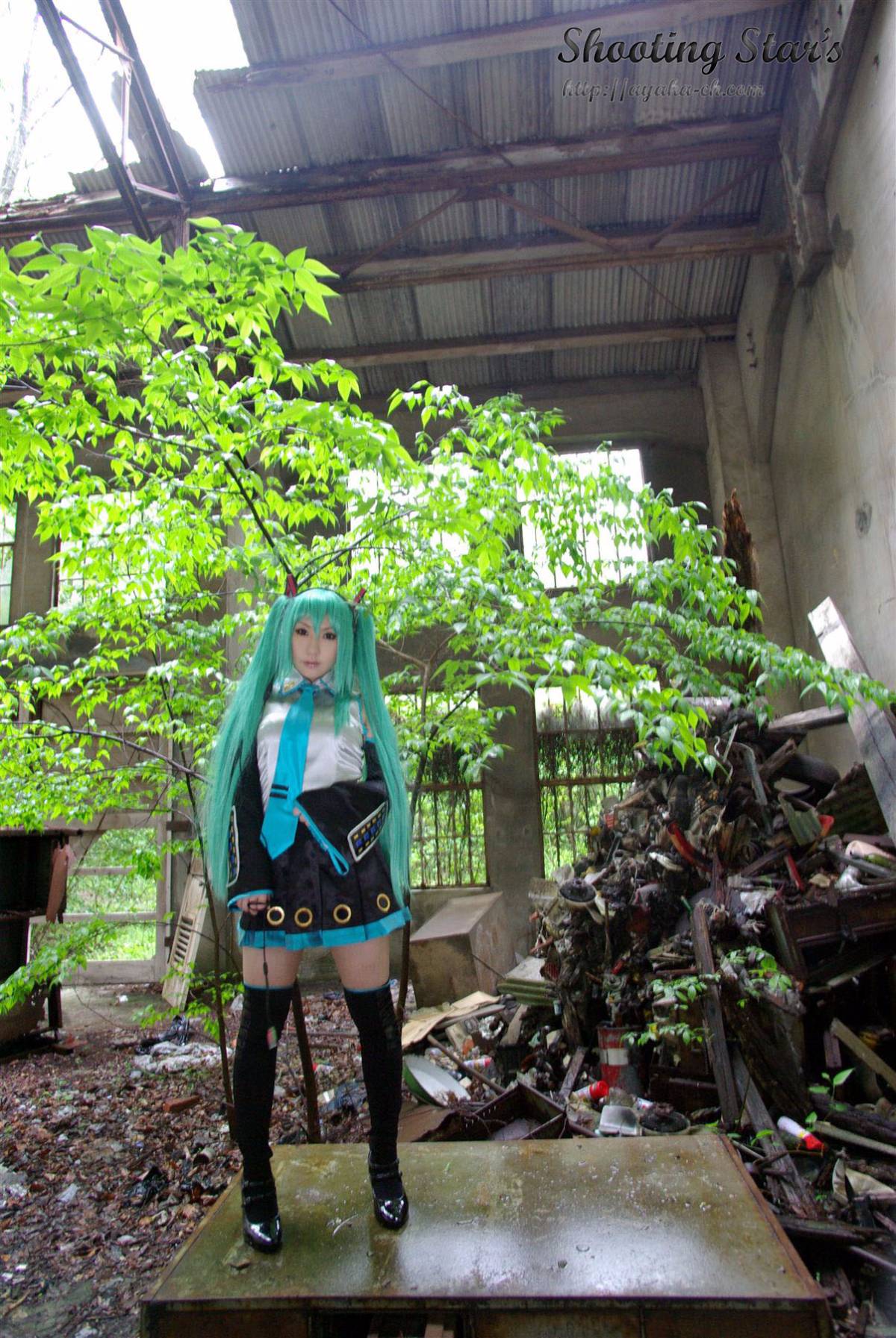 [SHOET STAR's] Đây có phải là đây không?