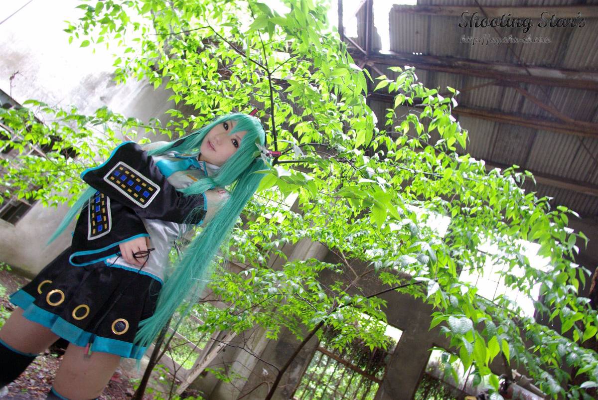 [SHOET STAR's] Đây có phải là đây không?