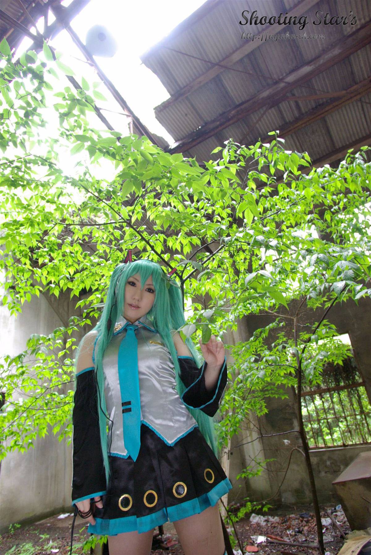 [SHOET STAR's] Đây có phải là đây không?