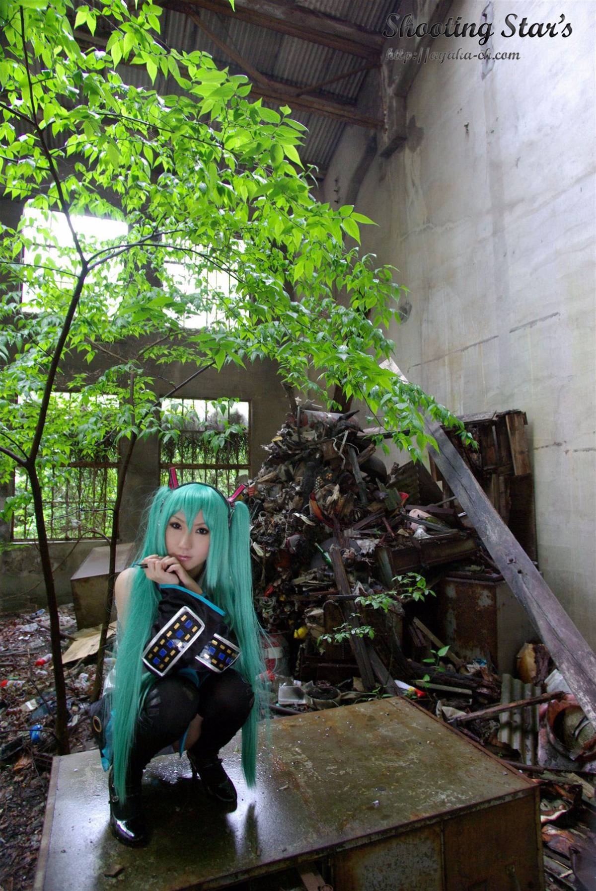 [SHOET STAR's] Đây có phải là đây không?