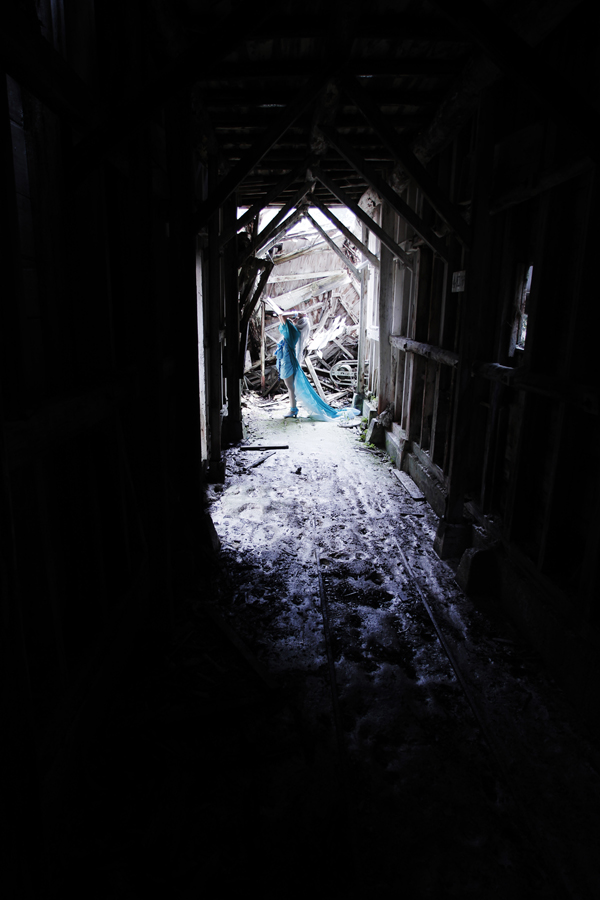 [Sleepyrabbit] Circus Fairy