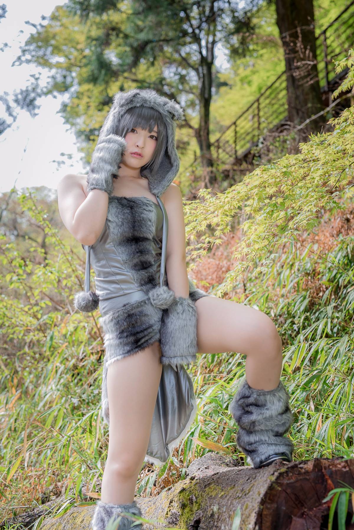 [Paw Paw Ayato] Yatozuki và Wolf (Mui xe nhỏ màu đỏ)