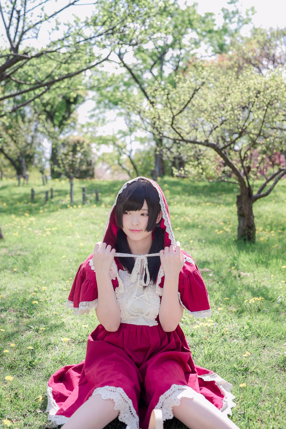 [Paw Paw Ayato] Yatozuki và Wolf (Mui xe nhỏ màu đỏ)