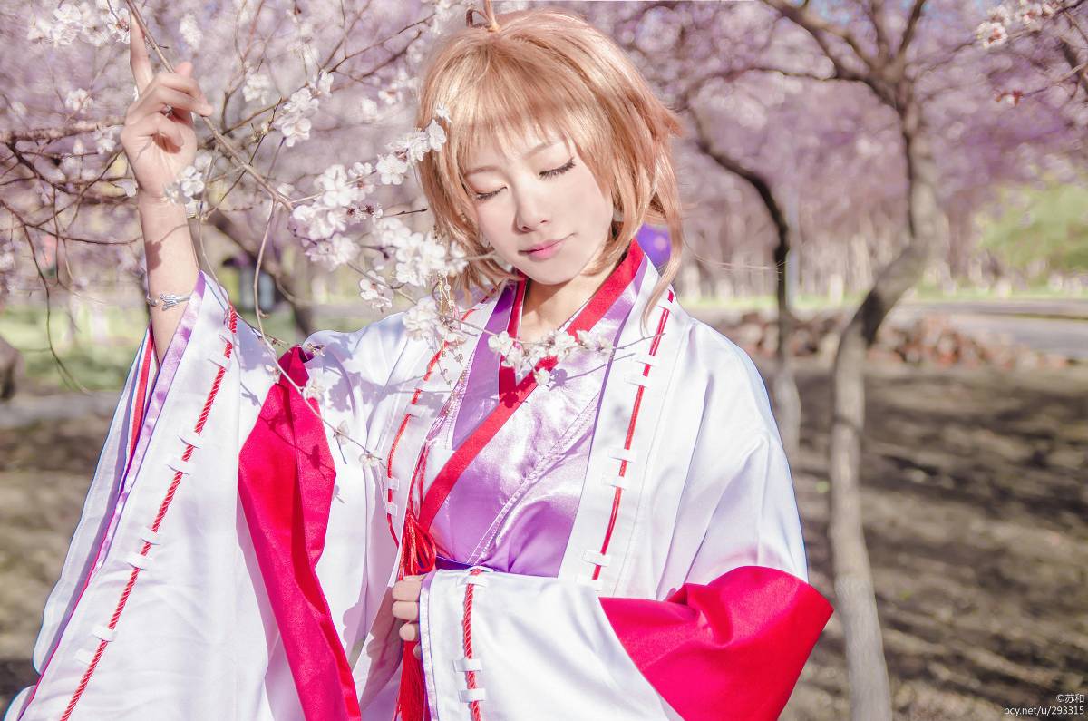 "Cánh · niên đại" Sakura Minh họa Kimono Phiên bản C O S P L A Y