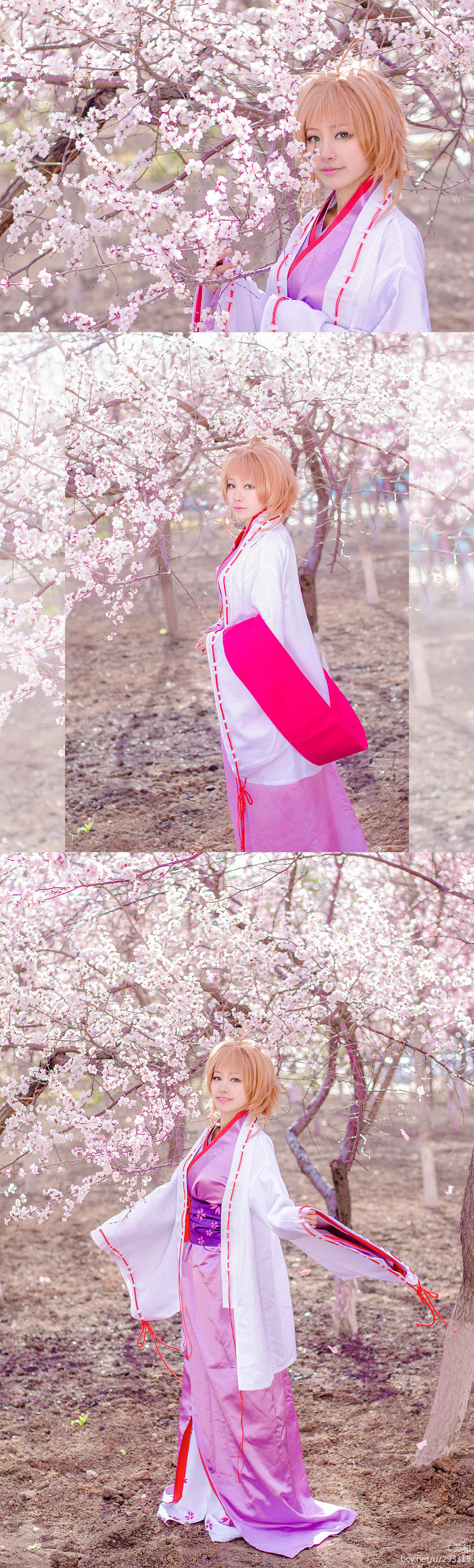 "Cánh · niên đại" Sakura Minh họa Kimono Phiên bản C O S P L A Y