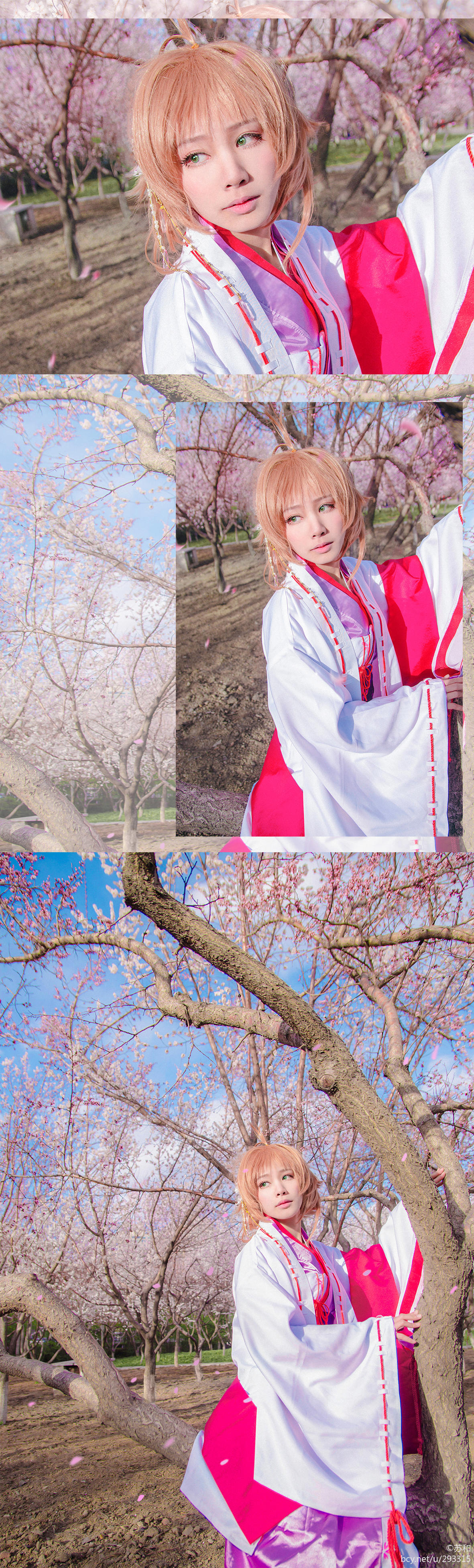 "Cánh · niên đại" Sakura Minh họa Kimono Phiên bản C O S P L A Y