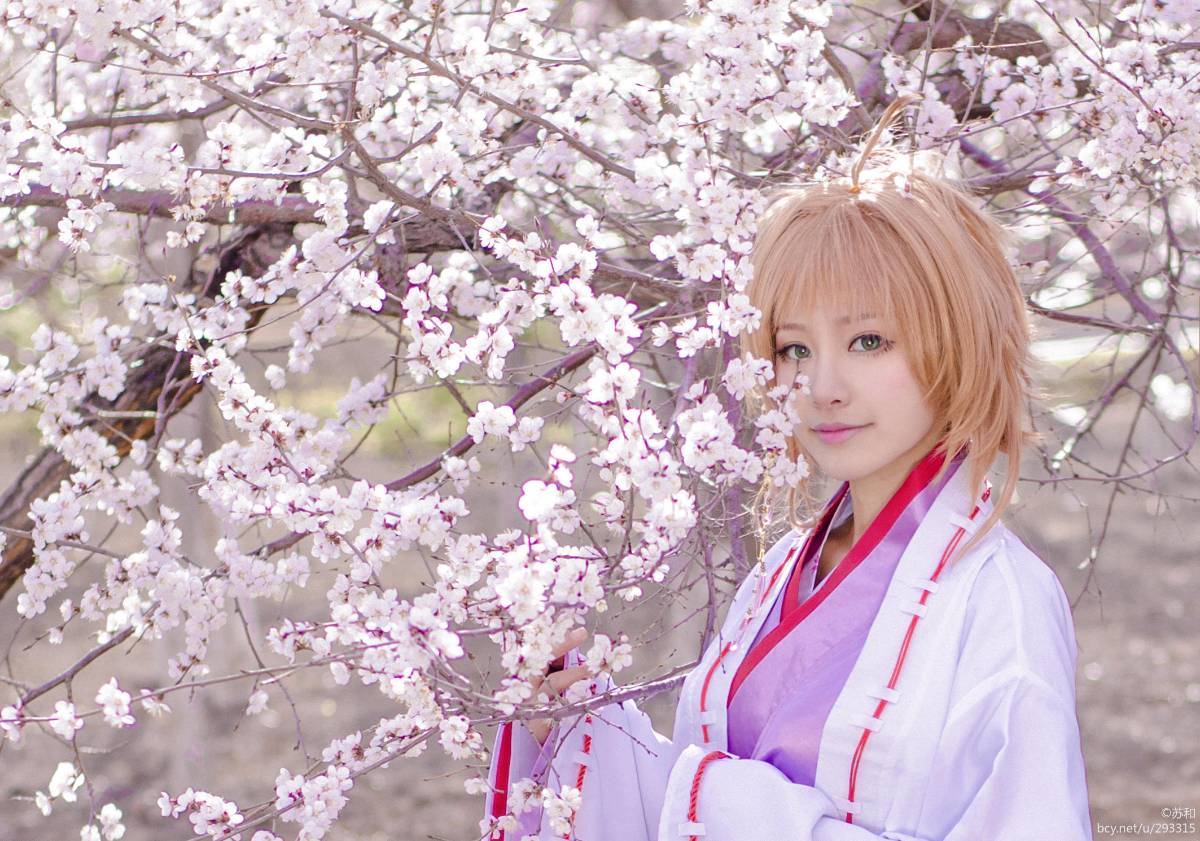 "Cánh · niên đại" Sakura Minh họa Kimono Phiên bản C O S P L A Y