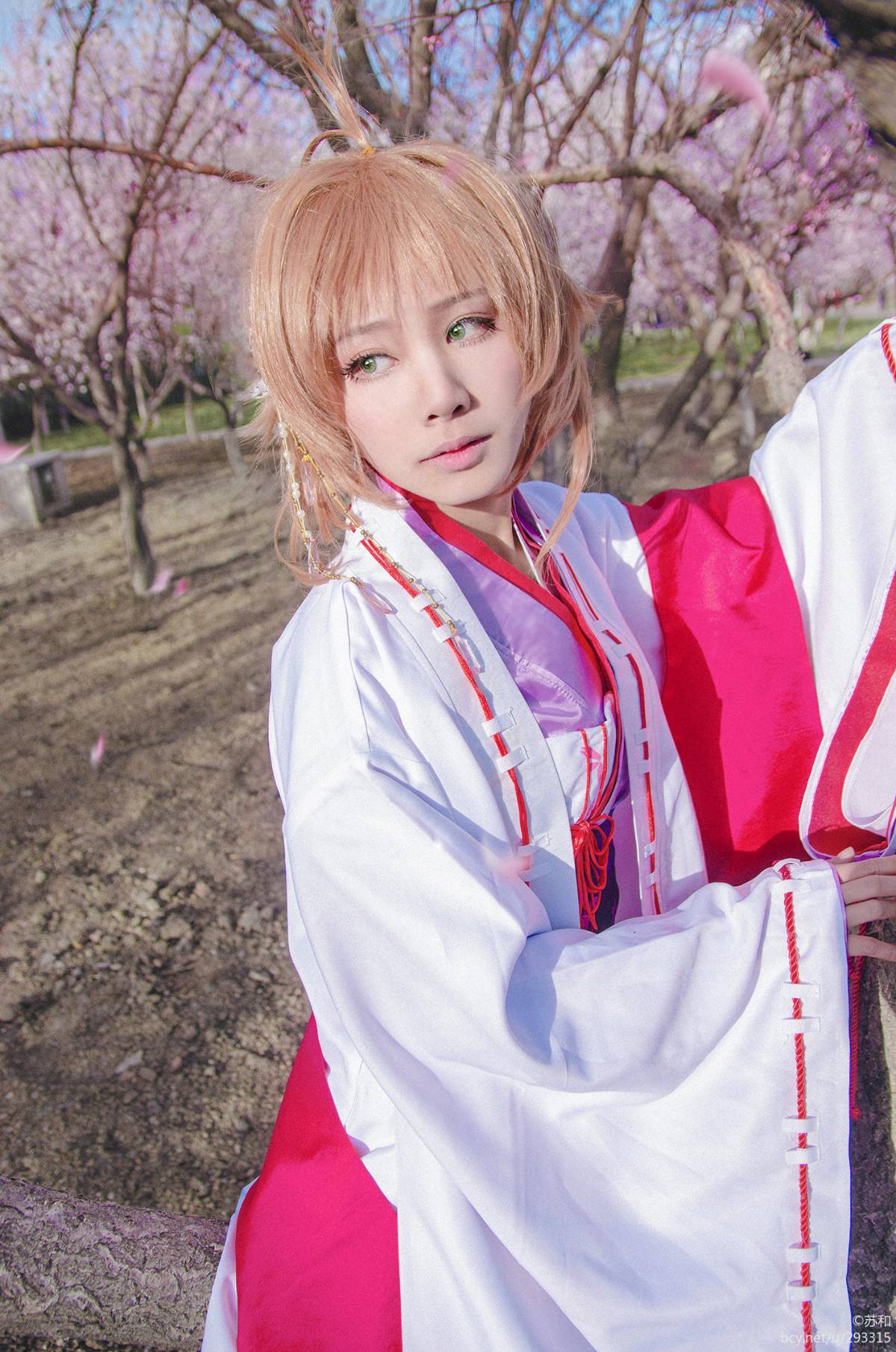 "Cánh · niên đại" Sakura Minh họa Kimono Phiên bản C O S P L A Y