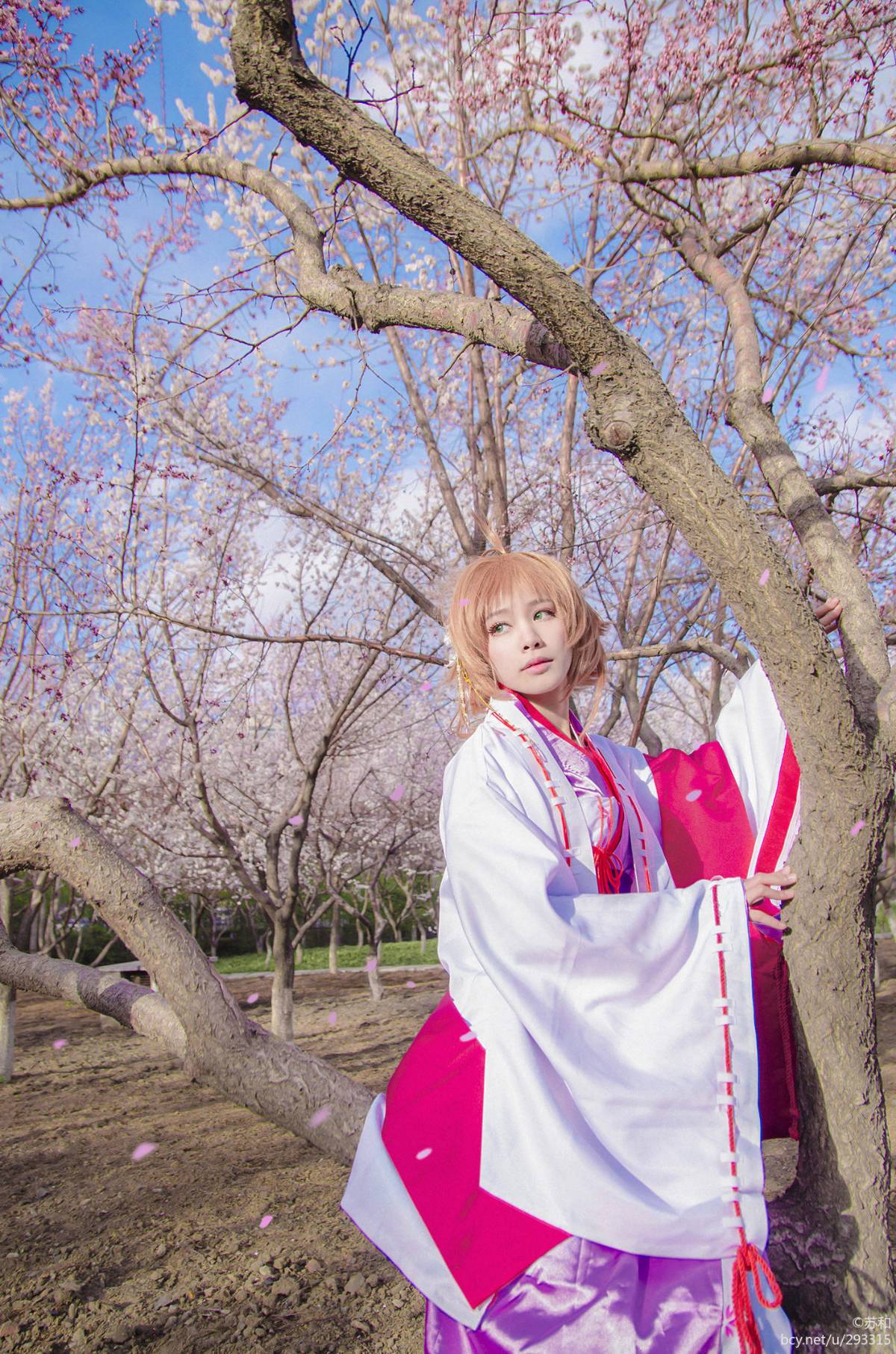 "Cánh · niên đại" Sakura Minh họa Kimono Phiên bản C O S P L A Y