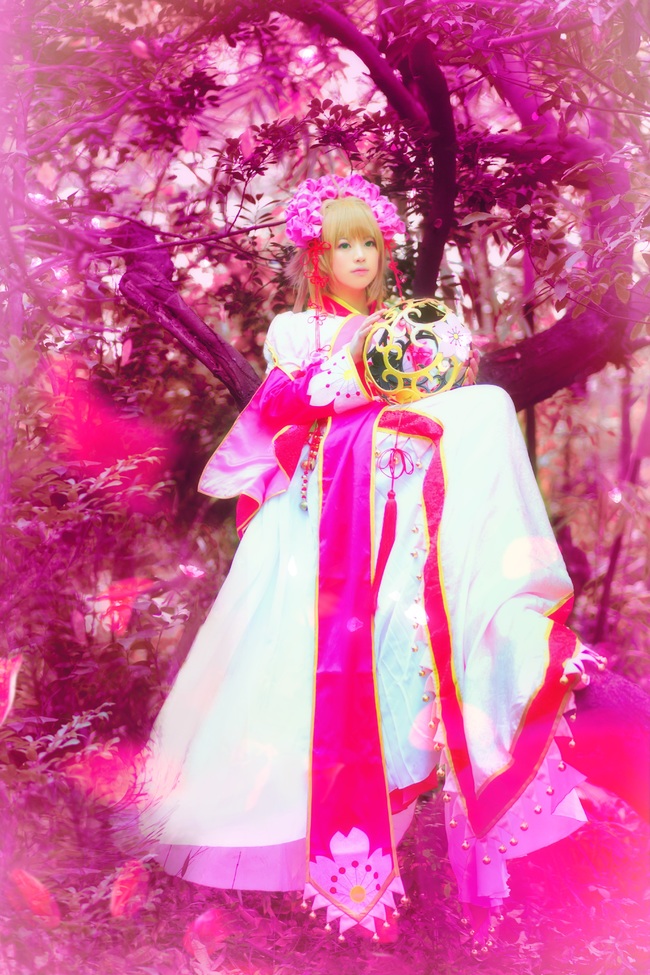 "Cánh · Chronics" Công chúa Sakura c o s p l a y