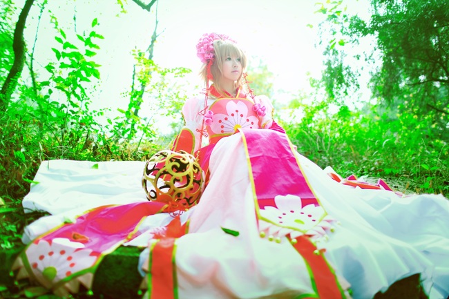 "Cánh · Chronics" Công chúa Sakura c o s p l a y