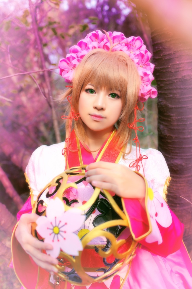 "Cánh · Chronics" Công chúa Sakura c o s p l a y