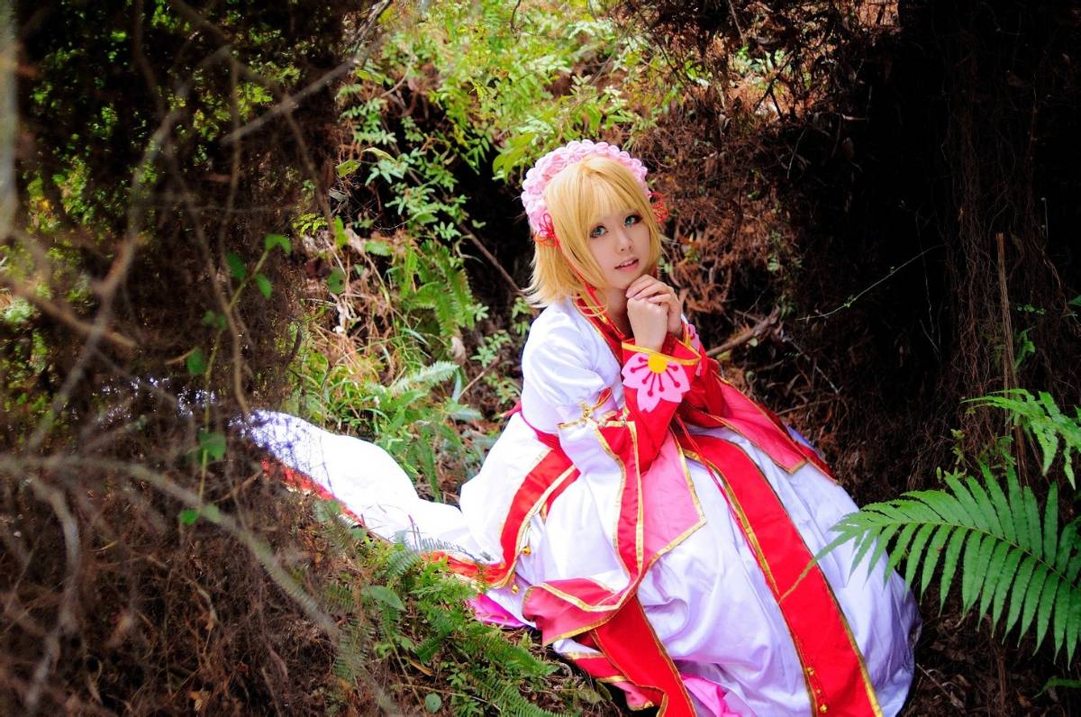 "Cánh · Chronics" Công chúa Sakura c o s p l a y