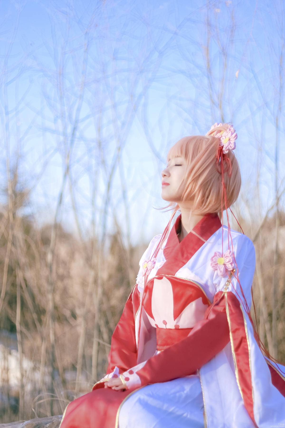 "Cánh · Chronics" Công chúa Sakura c o s p l a y