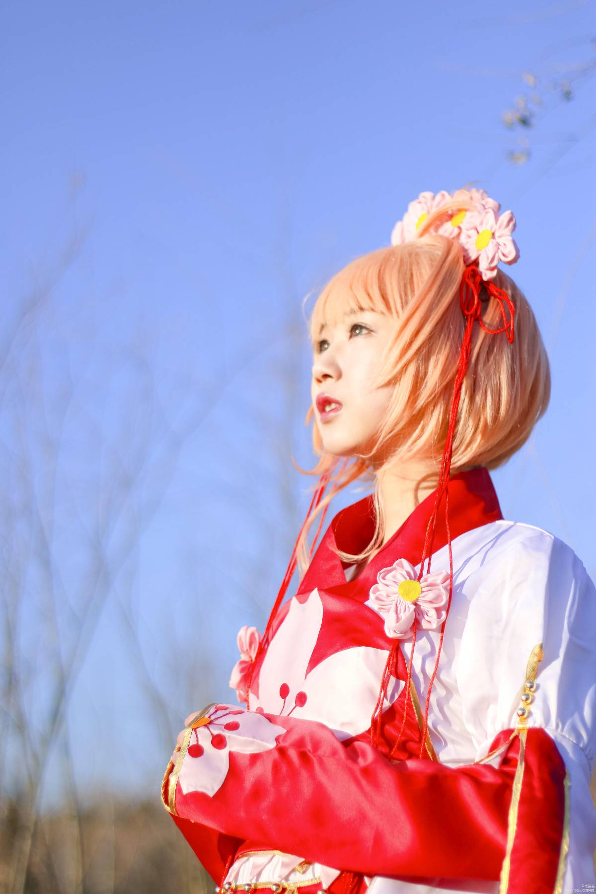 "Cánh · Chronics" Công chúa Sakura c o s p l a y