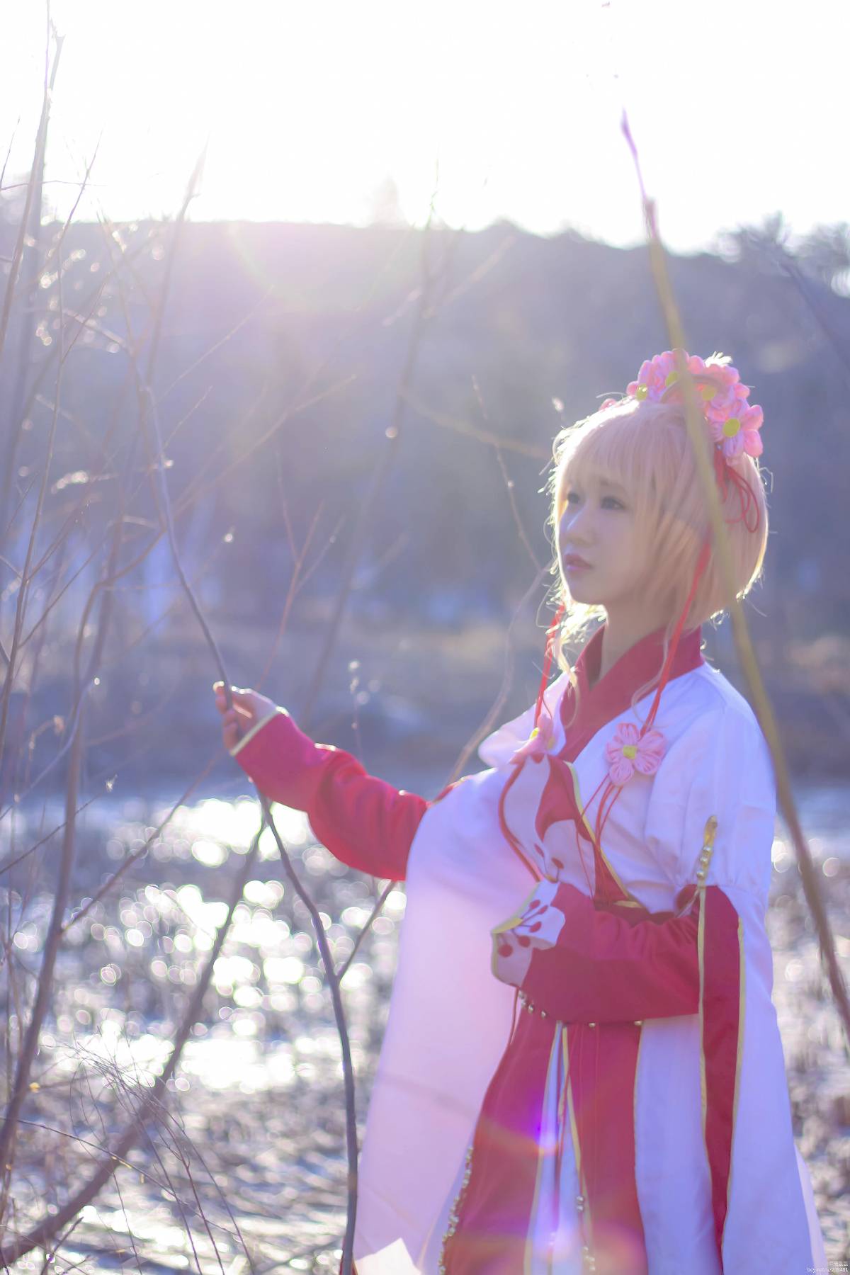 "Cánh · Chronics" Công chúa Sakura c o s p l a y