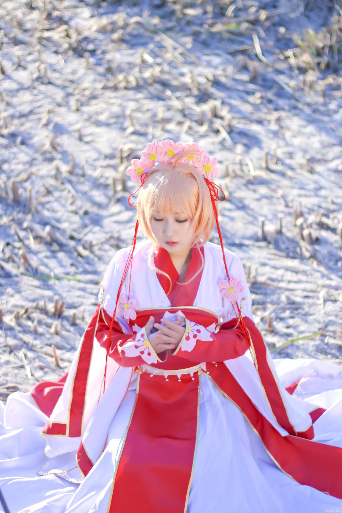 "Cánh · Chronics" Công chúa Sakura c o s p l a y