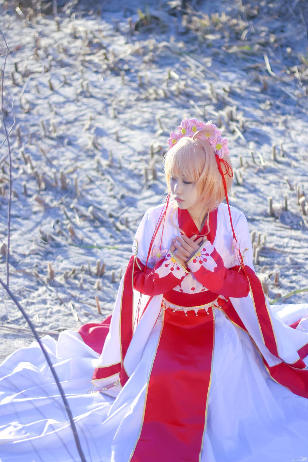 "Cánh · Chronics" Công chúa Sakura c o s p l a y