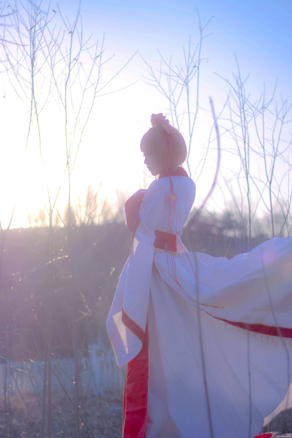 "Cánh · Chronics" Công chúa Sakura c o s p l a y