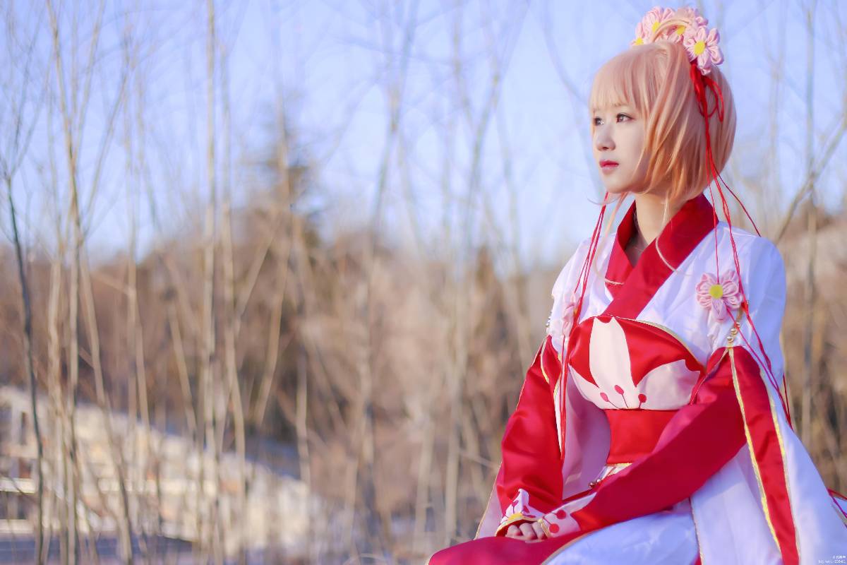 "Cánh · Chronics" Công chúa Sakura c o s p l a y