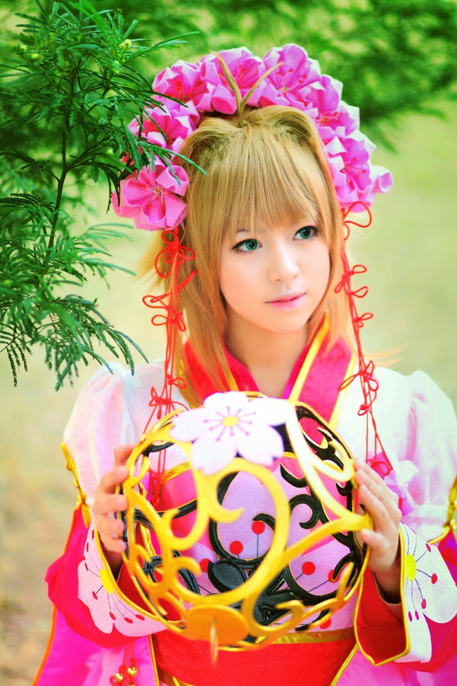 "Cánh · Chronics" Công chúa Sakura c o s p l a y
