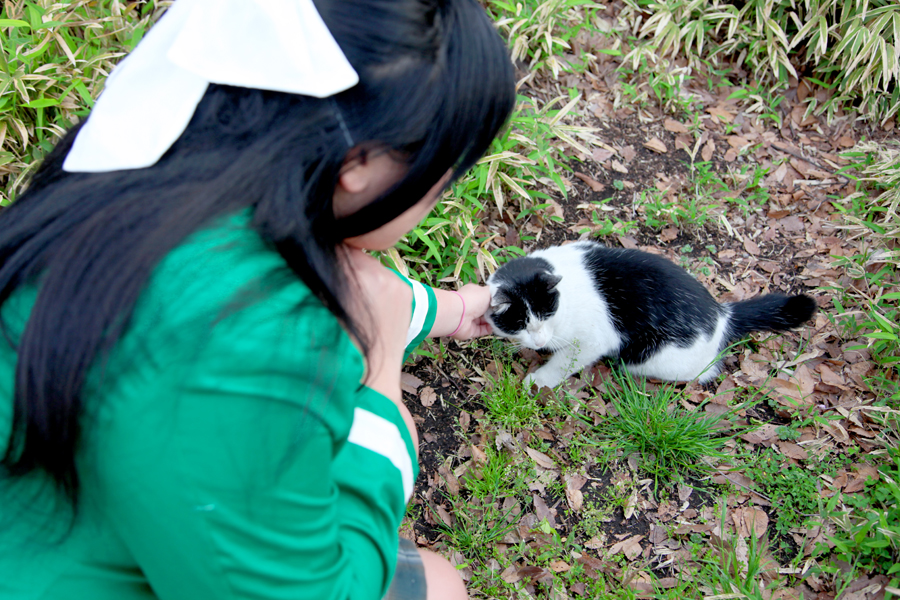 [Mariposa Luz de la Luna] Chơi nghỉ ngơi