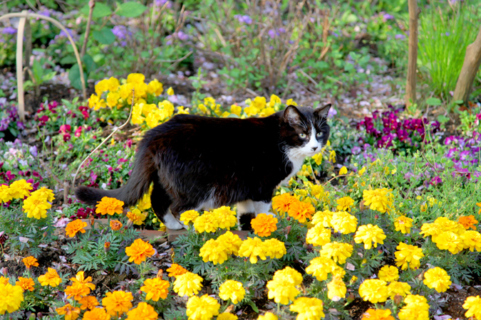 [Mariposa Luz de la Luna] Chơi nghỉ ngơi