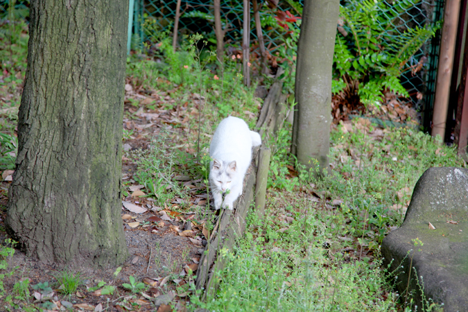 [Mariposa Luz de la Luna] Chơi nghỉ ngơi