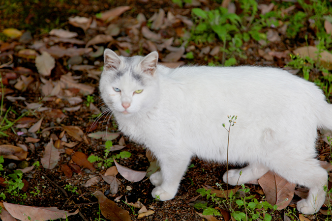 [Mariposa Luz de la Luna] Chơi nghỉ ngơi