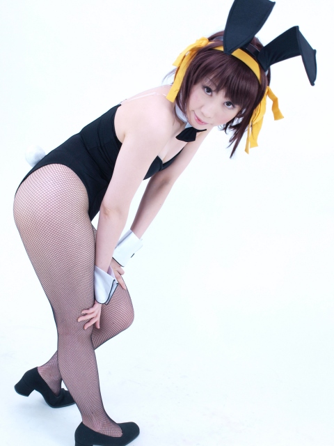 [Phục vụ màu cam] Tiền thưởng 2 tiền Haruhi