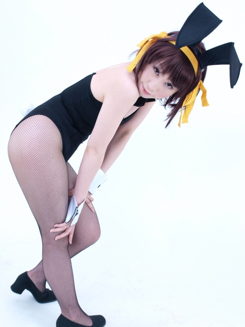 [Phục vụ màu cam] Tiền thưởng 2 tiền Haruhi