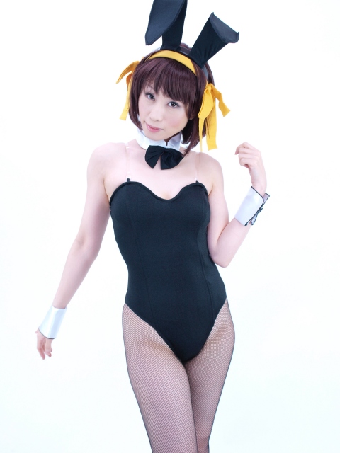 [Phục vụ màu cam] Tiền thưởng 2 tiền Haruhi