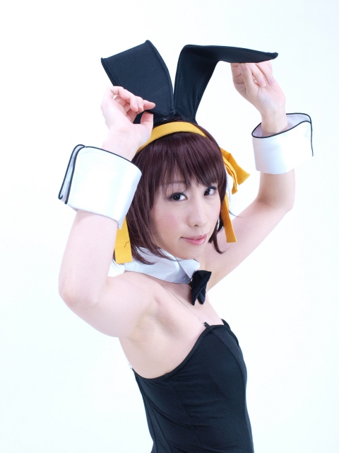 [Phục vụ màu cam] Tiền thưởng 2 tiền Haruhi