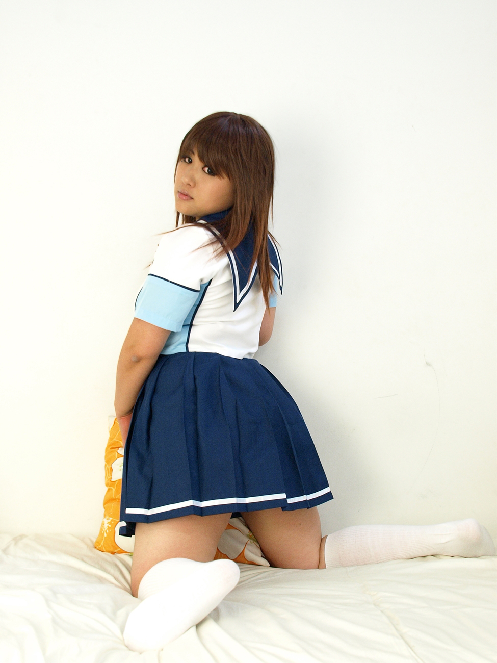 [Bụng mèo đầy hoa hồng] sau khi đi học