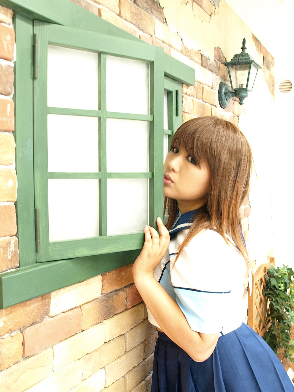 [Bụng mèo đầy hoa hồng] sau khi đi học